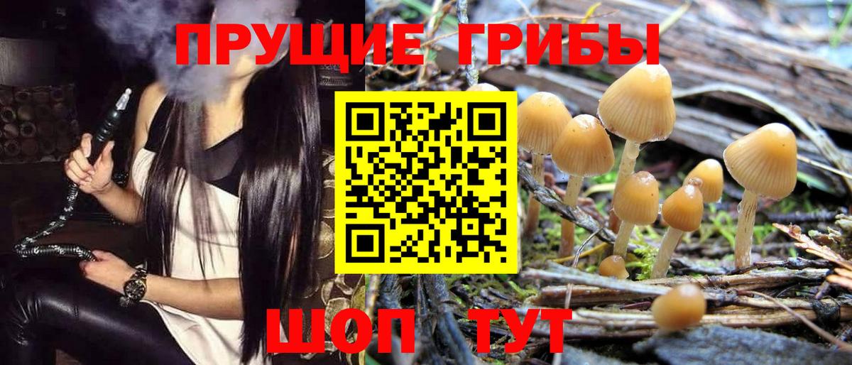 Псилоцибиновые грибы Psilocybine cubensis  Галлюциногенные грибы Magic Shrooms  Минеральные Воды  как найти закладки  Вход с VPN 